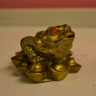 Žaba zlatá